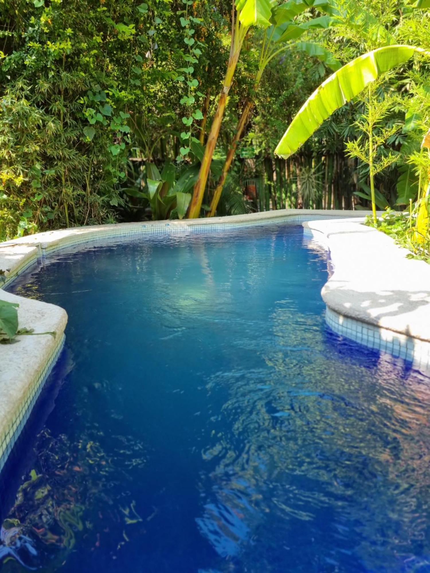 Eco Hotel Tahawi Ajijic Exterior photo